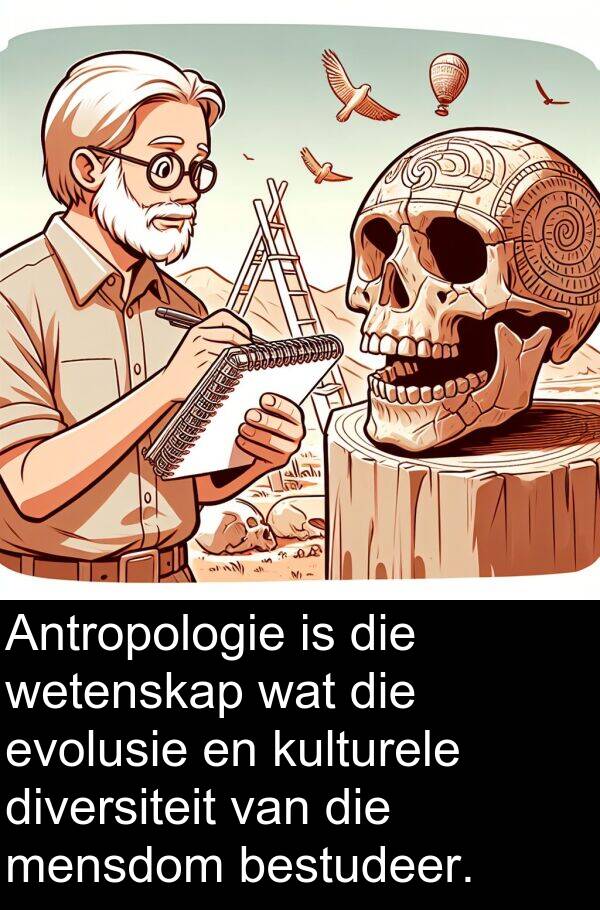 mensdom: Antropologie is die wetenskap wat die evolusie en kulturele diversiteit van die mensdom bestudeer.
