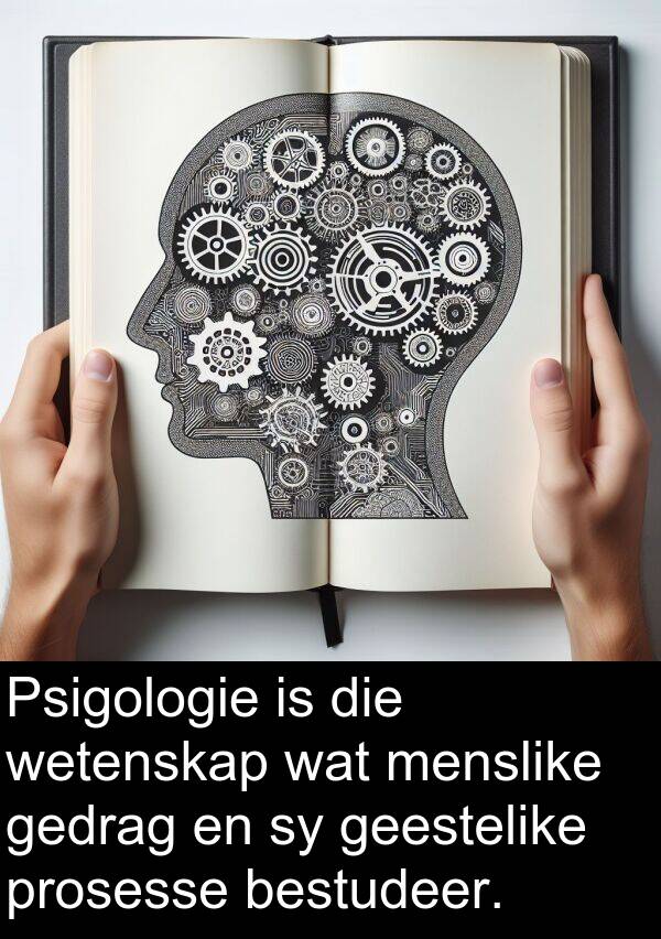 gedrag: Psigologie is die wetenskap wat menslike gedrag en sy geestelike prosesse bestudeer.