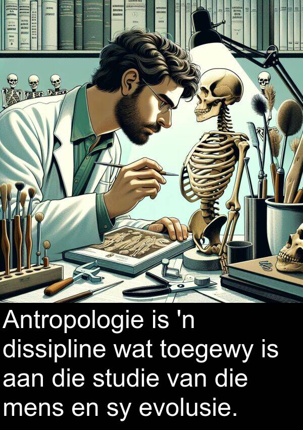 dissipline: Antropologie is 'n dissipline wat toegewy is aan die studie van die mens en sy evolusie.