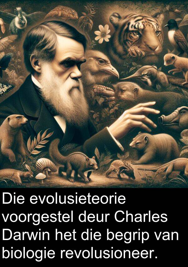 revolusioneer: Die evolusieteorie voorgestel deur Charles Darwin het die begrip van biologie revolusioneer.