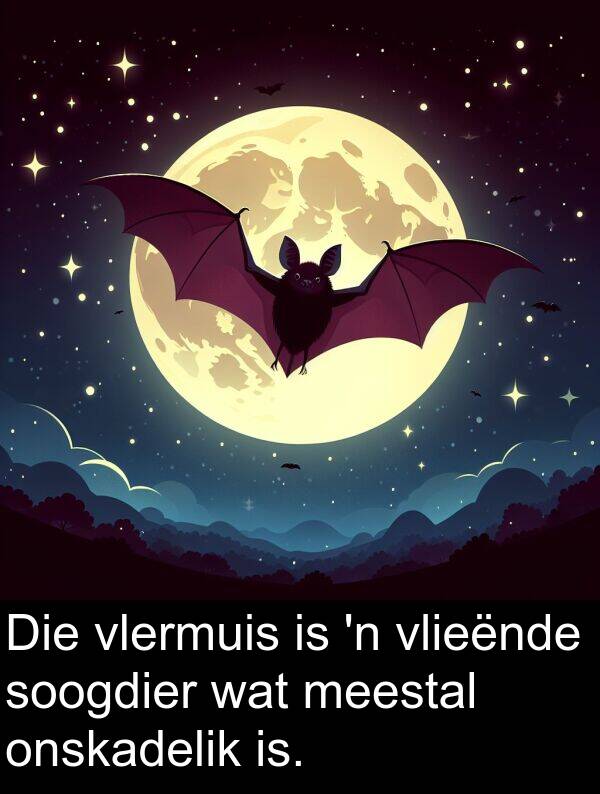 is: Die vlermuis is 'n vlieënde soogdier wat meestal onskadelik is.