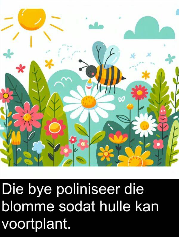hulle: Die bye poliniseer die blomme sodat hulle kan voortplant.