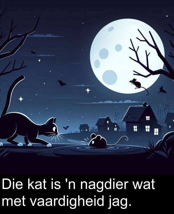 jag: Die kat is 'n nagdier wat met vaardigheid jag.