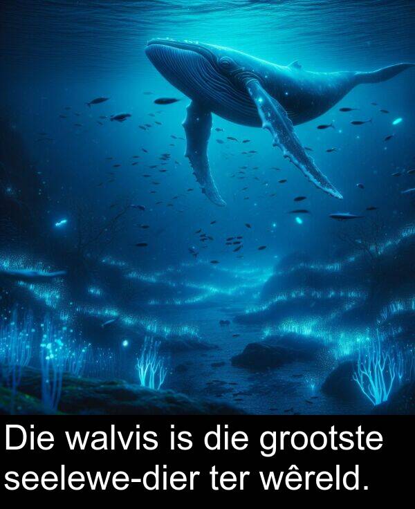 wêreld: Die walvis is die grootste seelewe-dier ter wêreld.