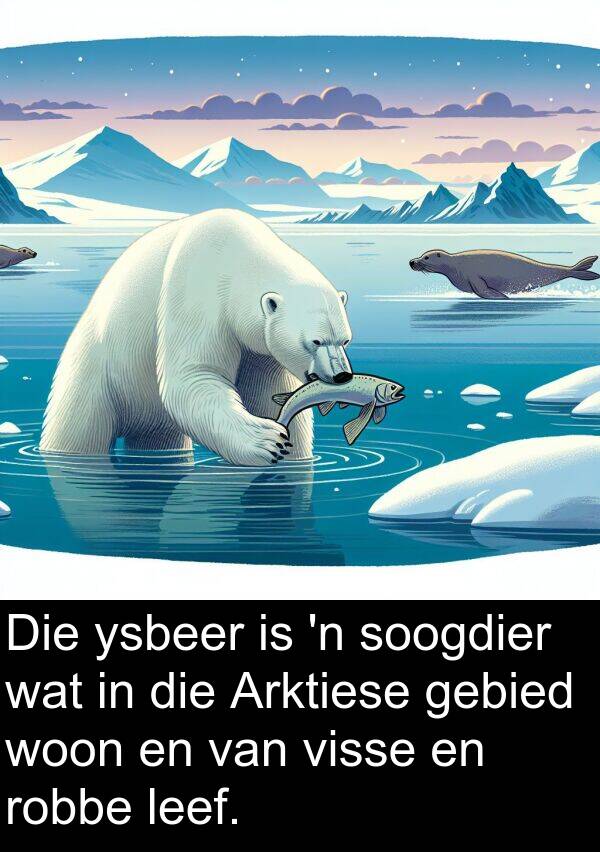woon: Die ysbeer is 'n soogdier wat in die Arktiese gebied woon en van visse en robbe leef.