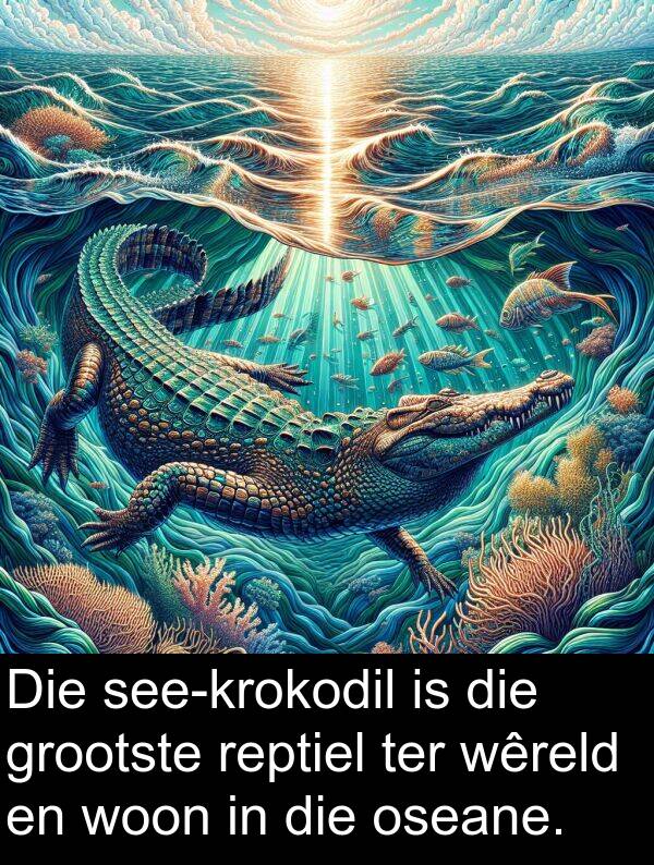 woon: Die see-krokodil is die grootste reptiel ter wêreld en woon in die oseane.