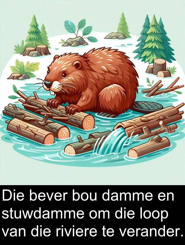 riviere: Die bever bou damme en stuwdamme om die loop van die riviere te verander.