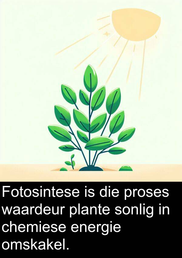 energie: Fotosintese is die proses waardeur plante sonlig in chemiese energie omskakel.