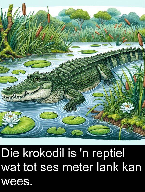 ses: Die krokodil is 'n reptiel wat tot ses meter lank kan wees.