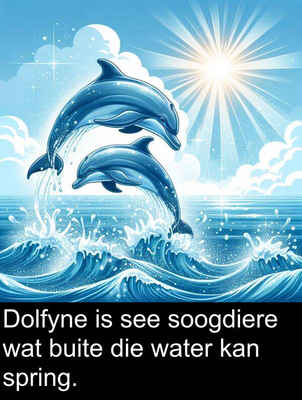 see: Dolfyne is see soogdiere wat buite die water kan spring.
