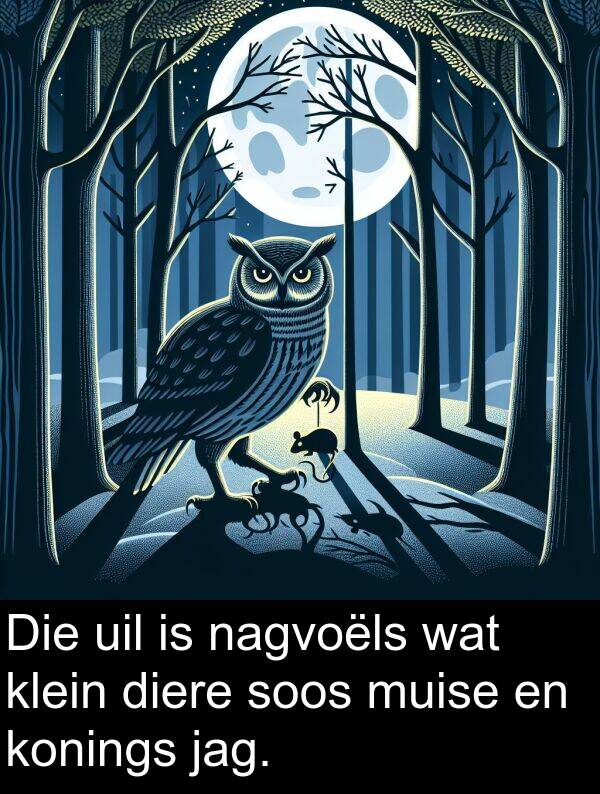 uil: Die uil is nagvoëls wat klein diere soos muise en konings jag.