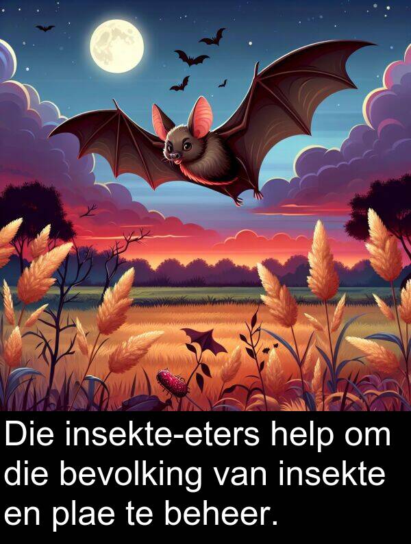 help: Die insekte-eters help om die bevolking van insekte en plae te beheer.