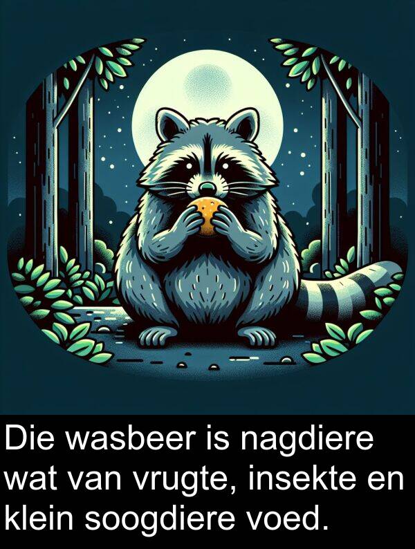 insekte: Die wasbeer is nagdiere wat van vrugte, insekte en klein soogdiere voed.
