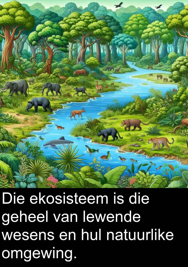 geheel: Die ekosisteem is die geheel van lewende wesens en hul natuurlike omgewing.