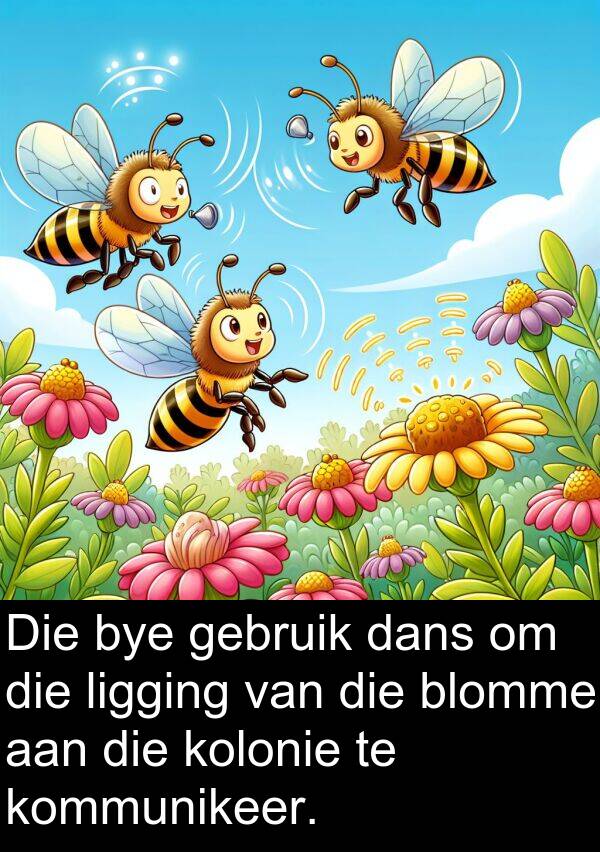 dans: Die bye gebruik dans om die ligging van die blomme aan die kolonie te kommunikeer.