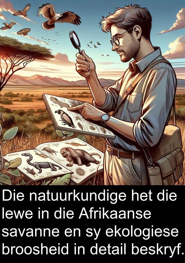 savanne: Die natuurkundige het die lewe in die Afrikaanse savanne en sy ekologiese broosheid in detail beskryf.