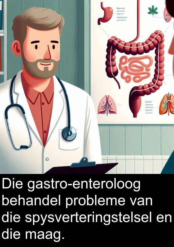 probleme: Die gastro-enteroloog behandel probleme van die spysverteringstelsel en die maag.