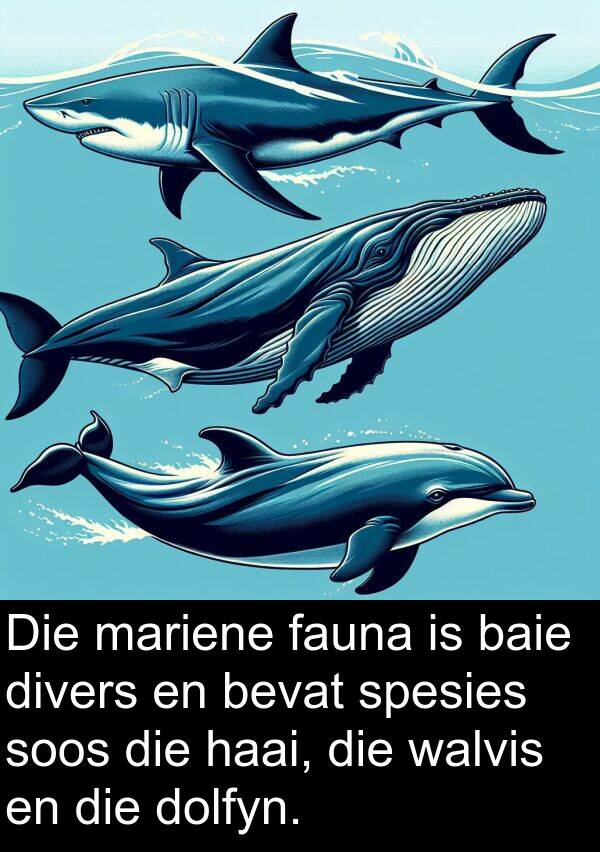 mariene: Die mariene fauna is baie divers en bevat spesies soos die haai, die walvis en die dolfyn.