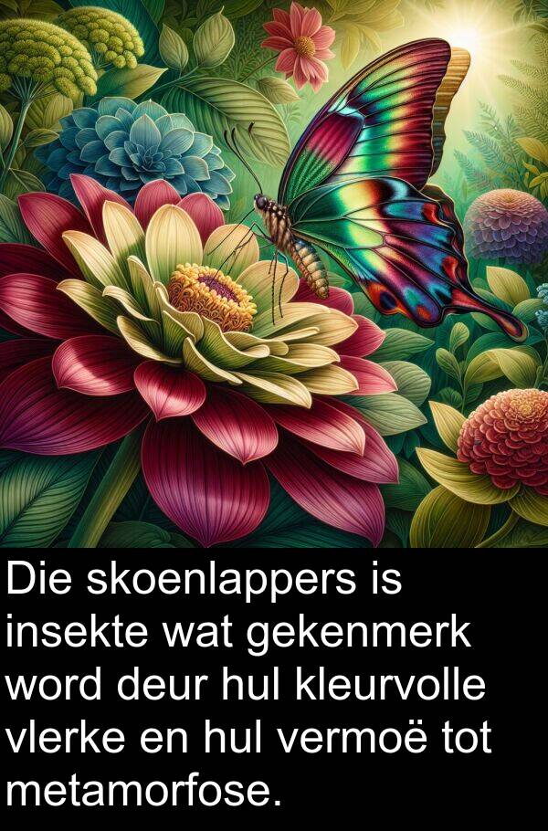 metamorfose: Die skoenlappers is insekte wat gekenmerk word deur hul kleurvolle vlerke en hul vermoë tot metamorfose.