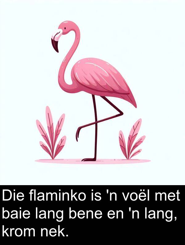 flaminko: Die flaminko is 'n voël met baie lang bene en 'n lang, krom nek.
