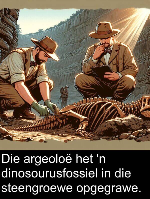 dinosourusfossiel: Die argeoloë het 'n dinosourusfossiel in die steengroewe opgegrawe.
