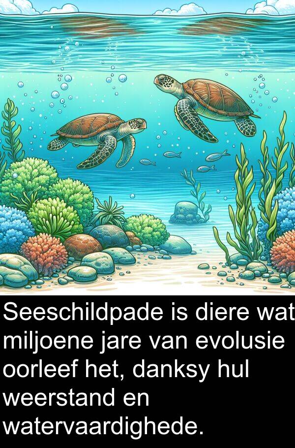 danksy: Seeschildpade is diere wat miljoene jare van evolusie oorleef het, danksy hul weerstand en watervaardighede.
