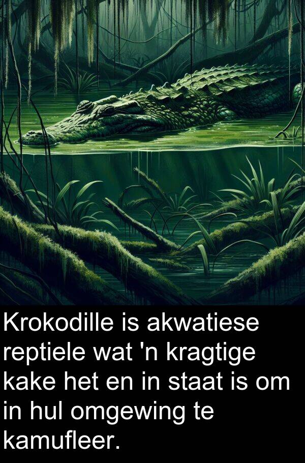 reptiele: Krokodille is akwatiese reptiele wat 'n kragtige kake het en in staat is om in hul omgewing te kamufleer.