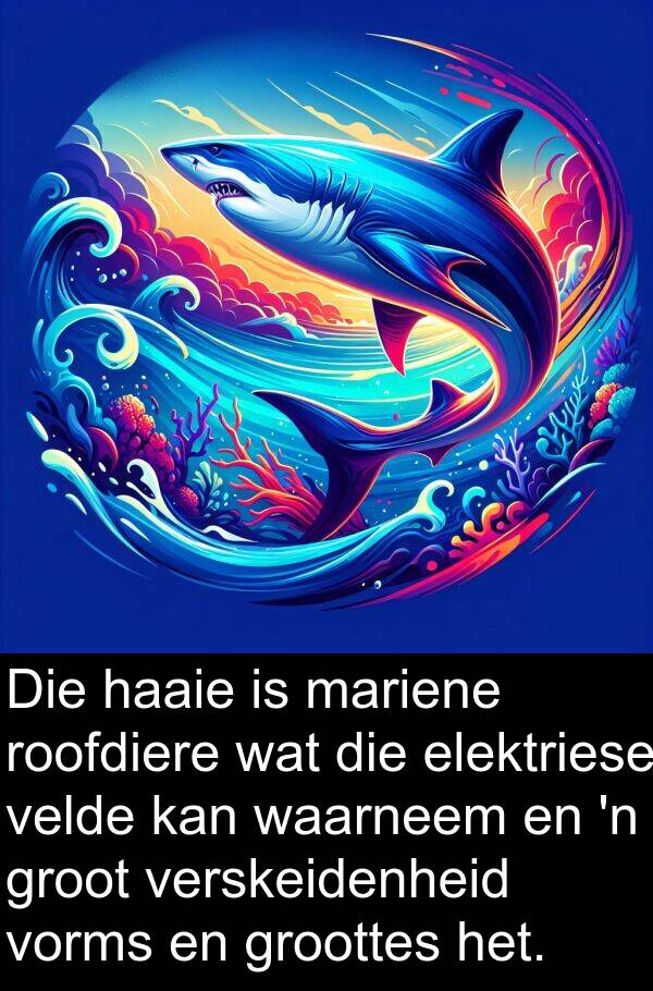haaie: Die haaie is mariene roofdiere wat die elektriese velde kan waarneem en 'n groot verskeidenheid vorms en groottes het.