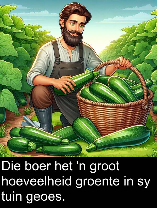 hoeveelheid: Die boer het 'n groot hoeveelheid groente in sy tuin geoes.