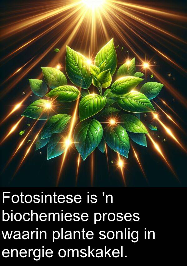 energie: Fotosintese is 'n biochemiese proses waarin plante sonlig in energie omskakel.