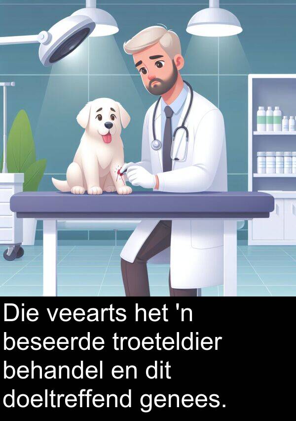 behandel: Die veearts het 'n beseerde troeteldier behandel en dit doeltreffend genees.