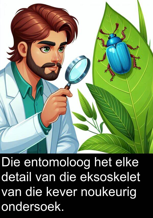 ondersoek: Die entomoloog het elke detail van die eksoskelet van die kever noukeurig ondersoek.