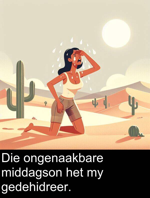 middagson: Die ongenaakbare middagson het my gedehidreer.