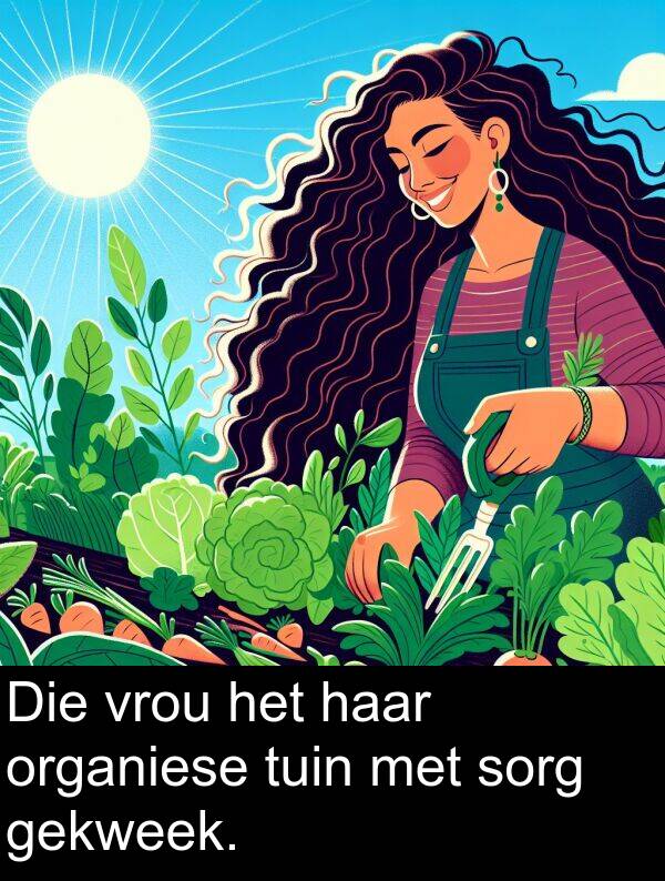 gekweek: Die vrou het haar organiese tuin met sorg gekweek.