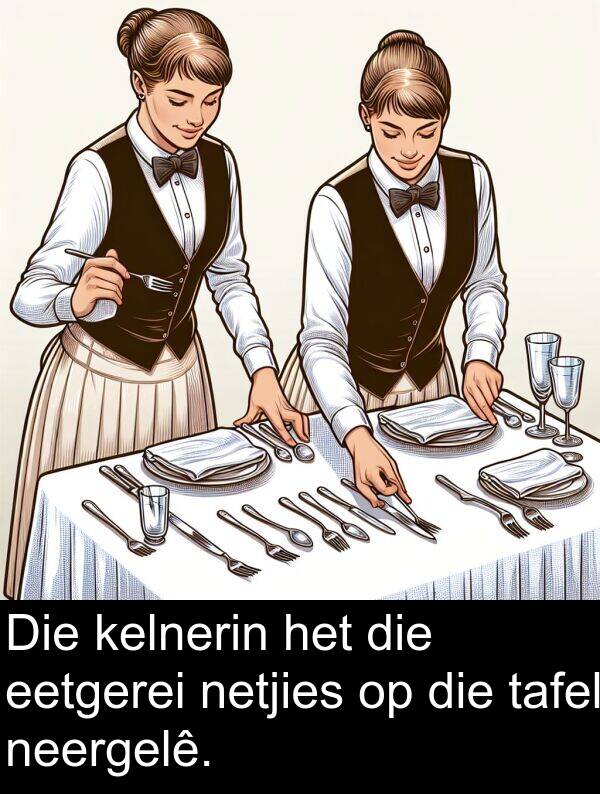 netjies: Die kelnerin het die eetgerei netjies op die tafel neergelê.
