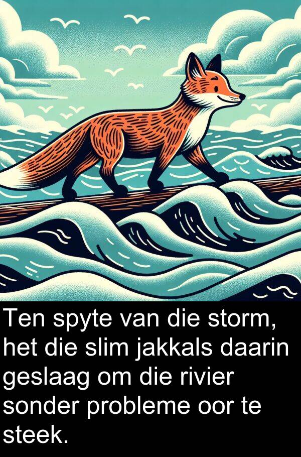 daarin: Ten spyte van die storm, het die slim jakkals daarin geslaag om die rivier sonder probleme oor te steek.