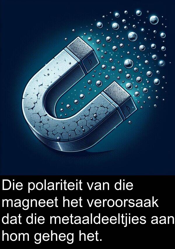 polariteit: Die polariteit van die magneet het veroorsaak dat die metaaldeeltjies aan hom geheg het.