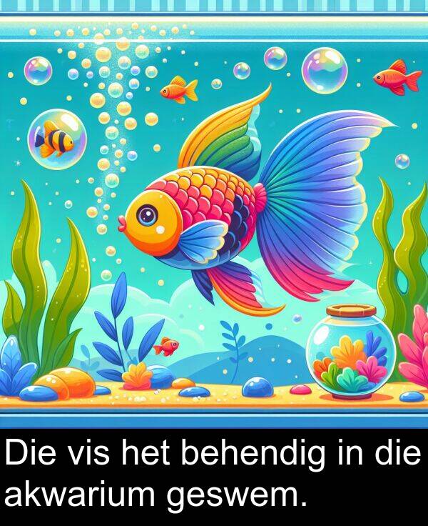 akwarium: Die vis het behendig in die akwarium geswem.