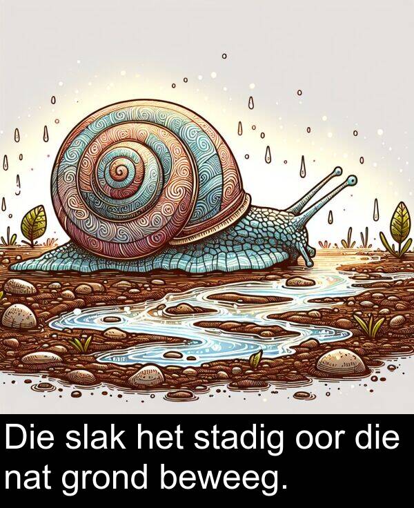 oor: Die slak het stadig oor die nat grond beweeg.