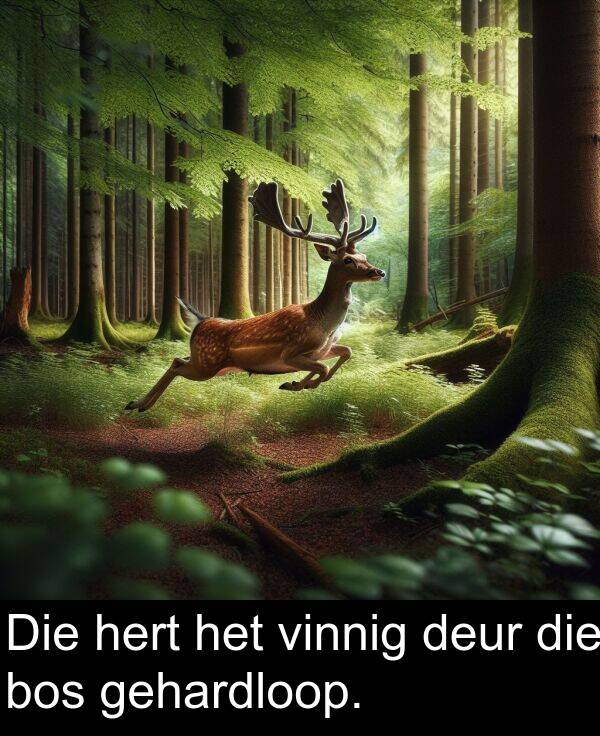 hert: Die hert het vinnig deur die bos gehardloop.