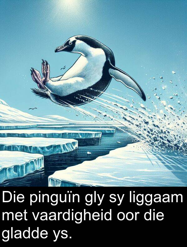liggaam: Die pinguïn gly sy liggaam met vaardigheid oor die gladde ys.