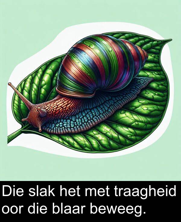 oor: Die slak het met traagheid oor die blaar beweeg.