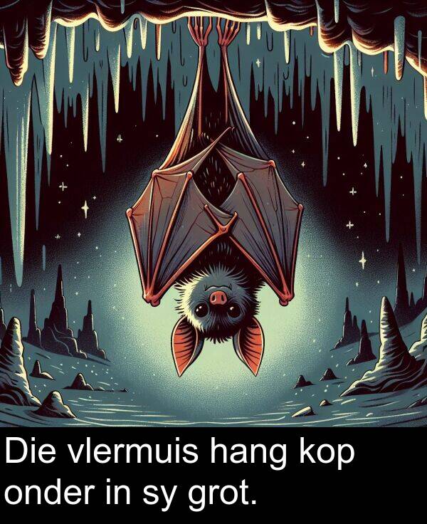 hang: Die vlermuis hang kop onder in sy grot.