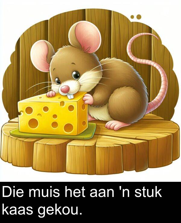 gekou: Die muis het aan 'n stuk kaas gekou.
