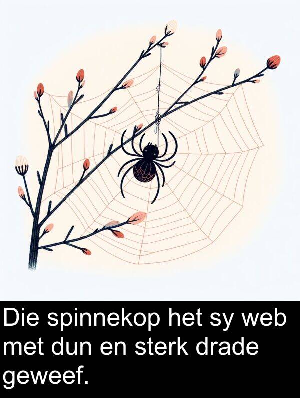 web: Die spinnekop het sy web met dun en sterk drade geweef.