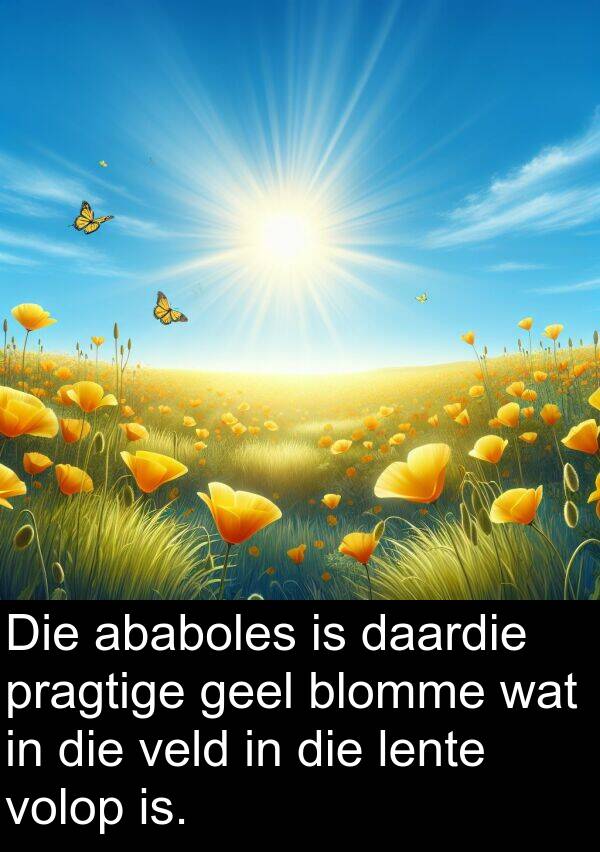 geel: Die ababoles is daardie pragtige geel blomme wat in die veld in die lente volop is.