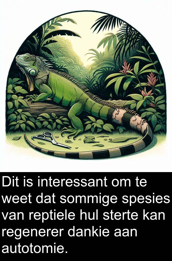reptiele: Dit is interessant om te weet dat sommige spesies van reptiele hul sterte kan regenerer dankie aan autotomie.