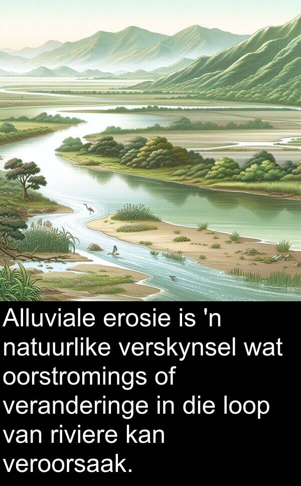 riviere: Alluviale erosie is 'n natuurlike verskynsel wat oorstromings of veranderinge in die loop van riviere kan veroorsaak.