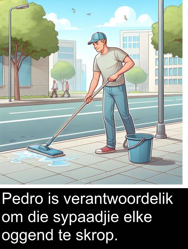 elke: Pedro is verantwoordelik om die sypaadjie elke oggend te skrop.