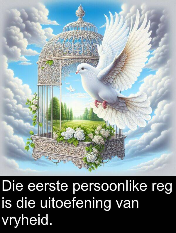reg: Die eerste persoonlike reg is die uitoefening van vryheid.